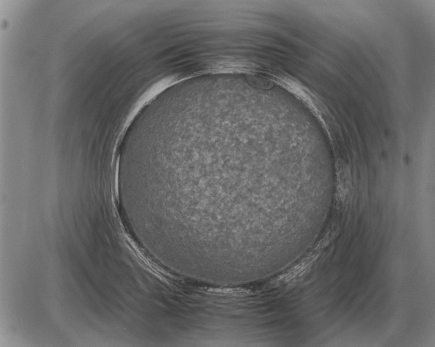 X0000085271227200703231732