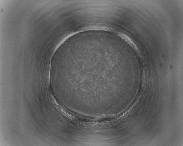 X0000085271228200703231732