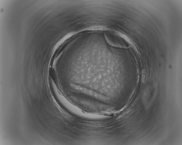 X0000085271229200703231732