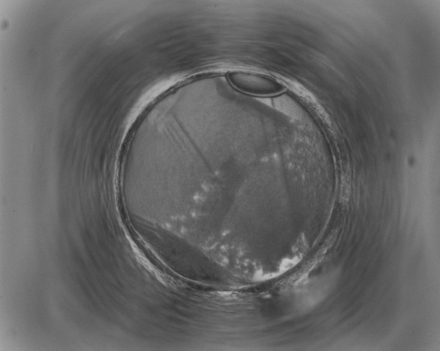 X0000085271231200703231732