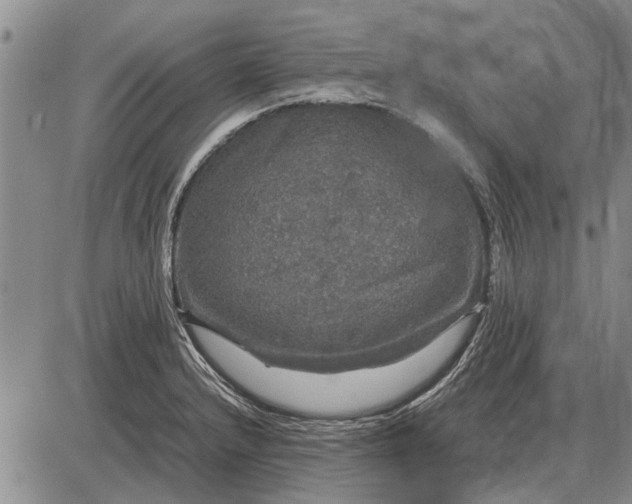 X0000085271232200703231732