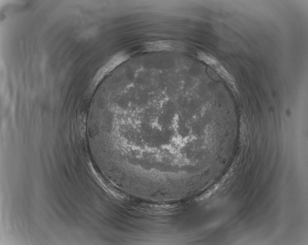 X0000085271233200703231732