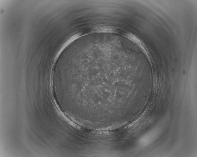 X0000085271235200703231732