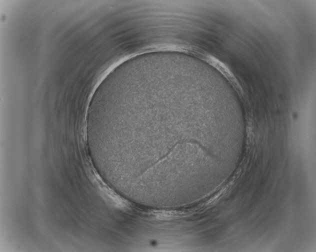 X0000085271236200703231733