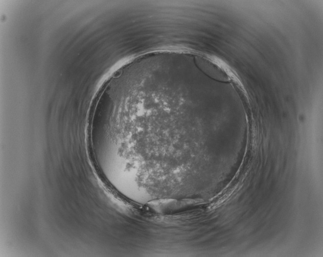 X0000085271237200703231733