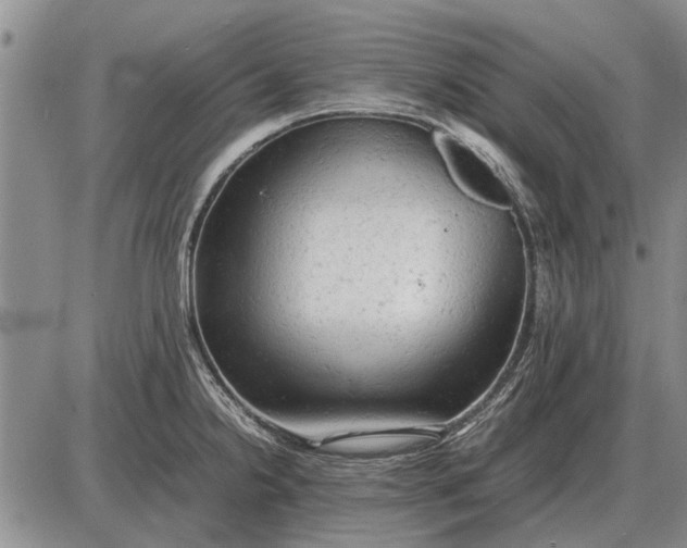 X0000085271238200703231733