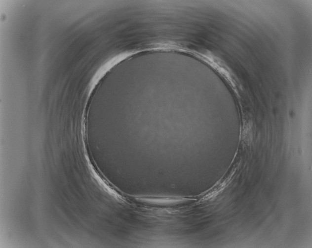 X0000085271239200703231733