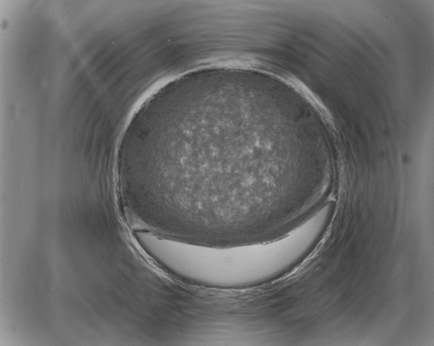 X0000085271240200703231733