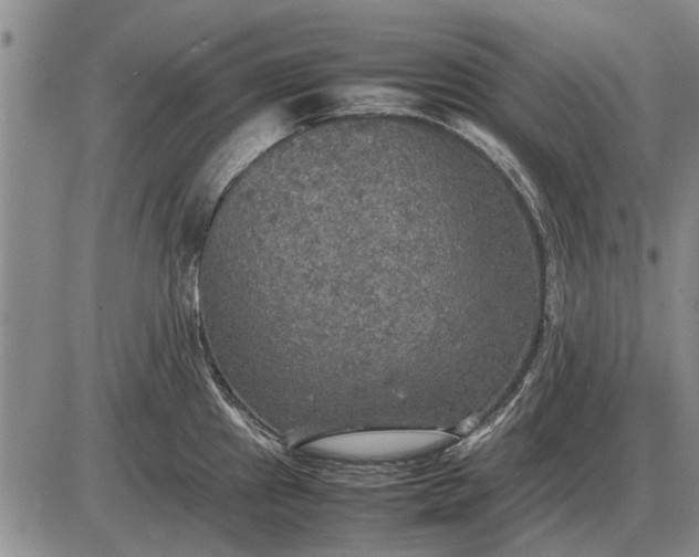 X0000085271241200703231733