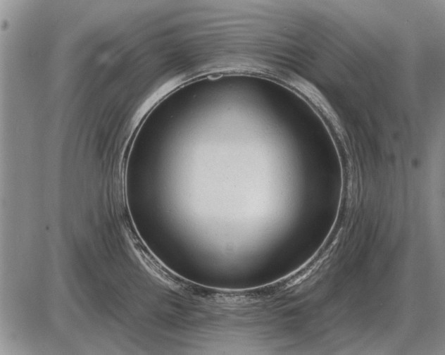 X0000085271242200703231733