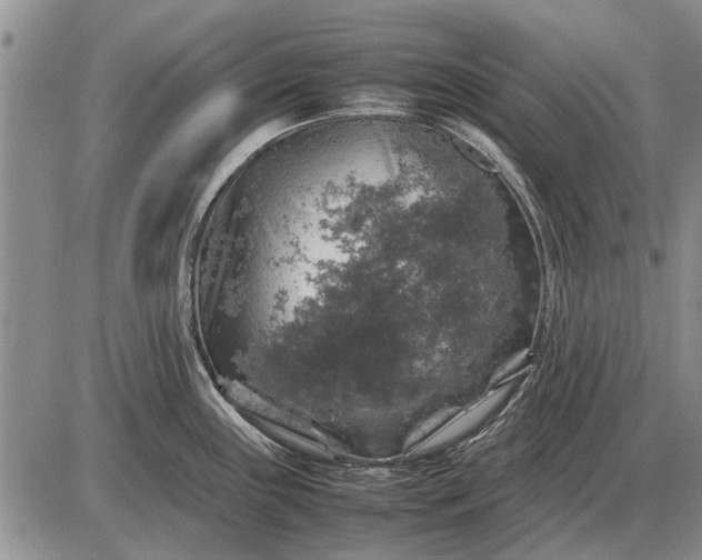 X0000085271243200703231733