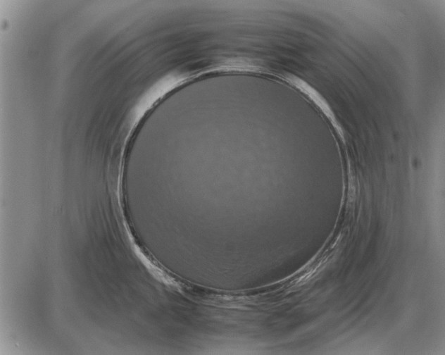 X0000085271245200703231733