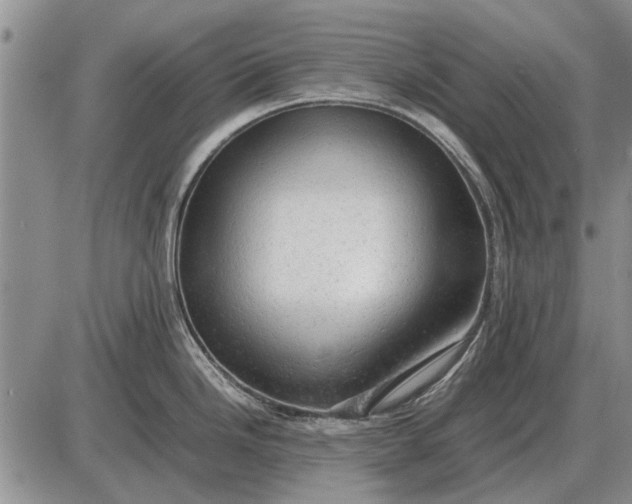 X0000085271246200703231733