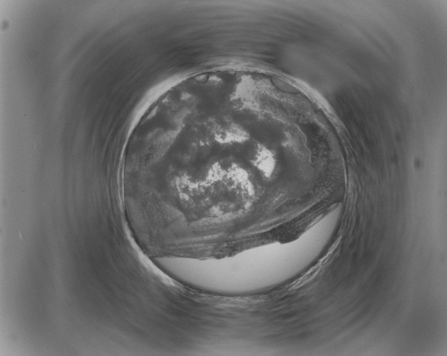 X0000085271247200703231733