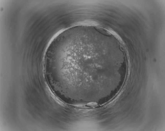 X0000085271248200703231733