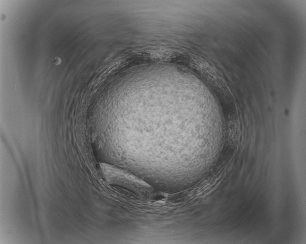 X0000085271249200703231732