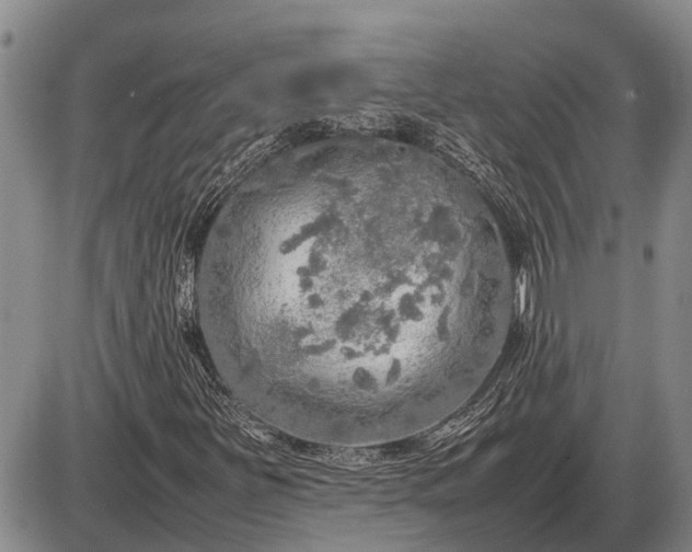 X0000085271251200703231732