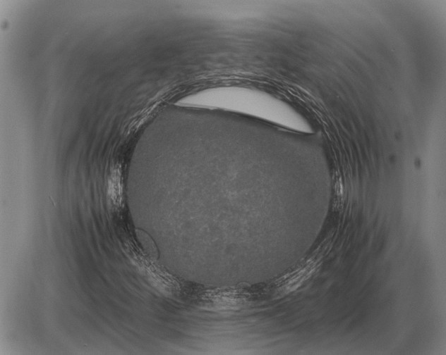 X0000085271252200703231732