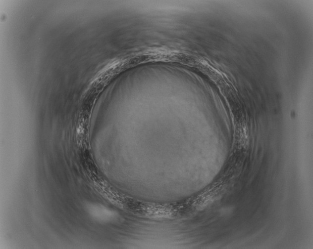 X0000085271254200703231732