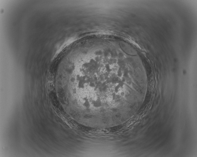 X0000085271255200703231732