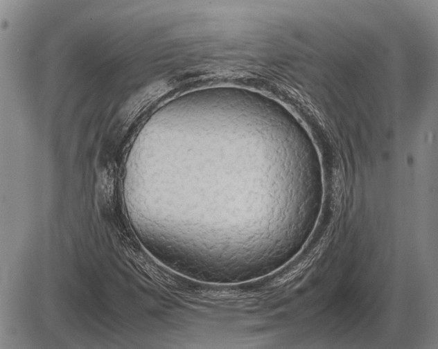 X0000085271257200703231732