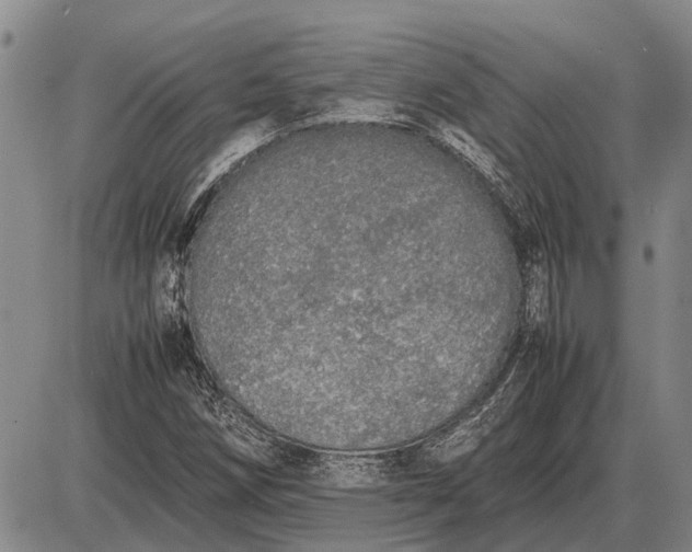 X0000085271258200703231732