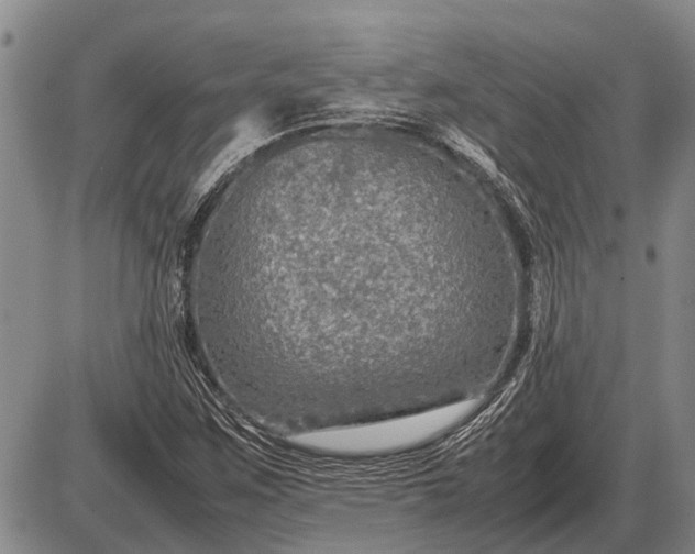 X0000085271259200703231732