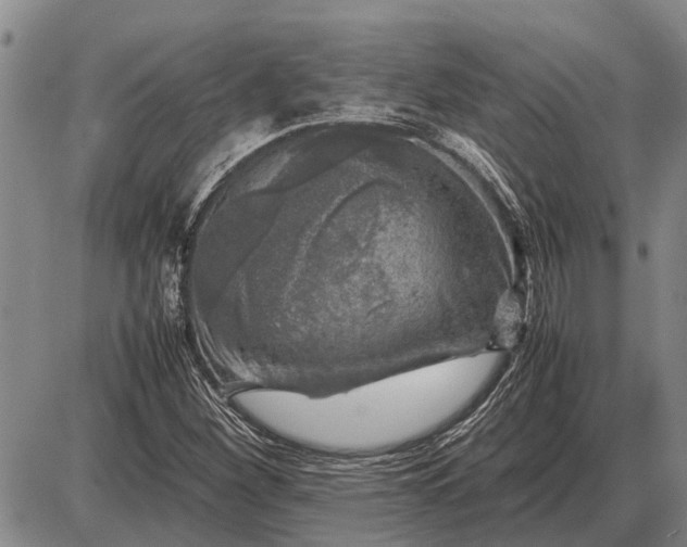 X0000085271260200703231732