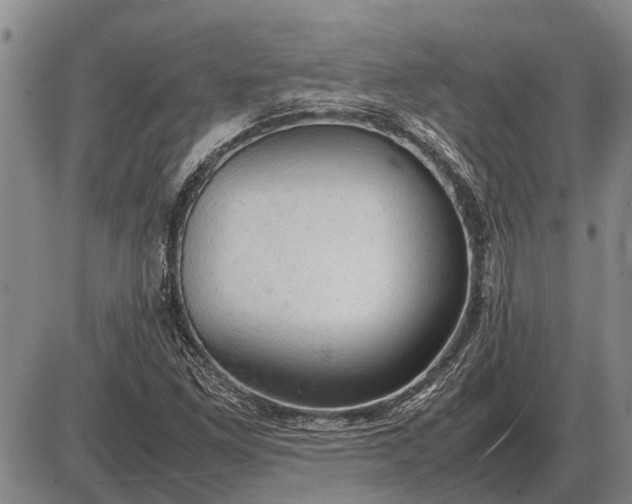 X0000085271261200703231732