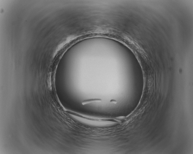 X0000085271262200703231732