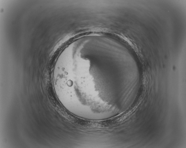 X0000085271263200703231732