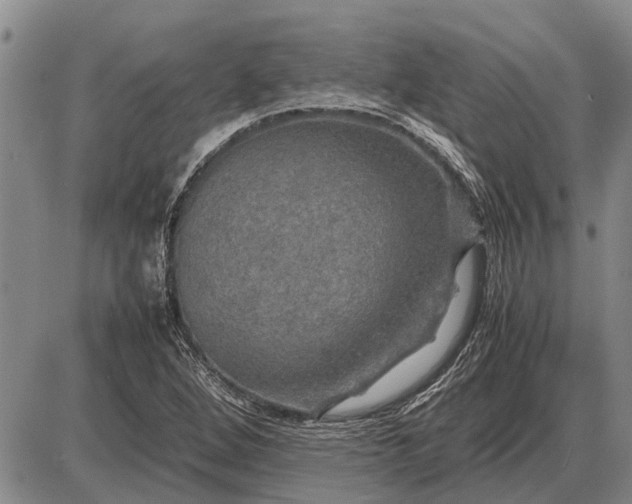 X0000085271264200703231732