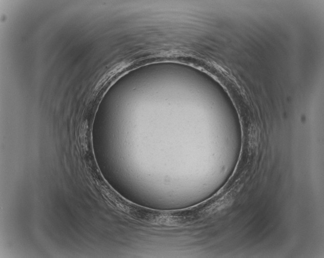 X0000085271265200703231732