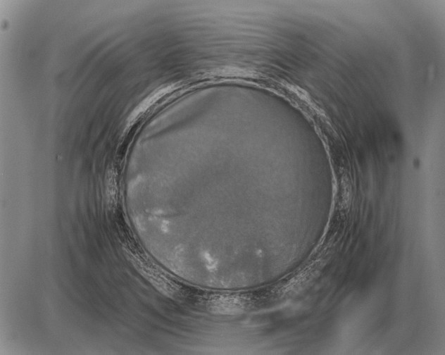 X0000085271266200703231732