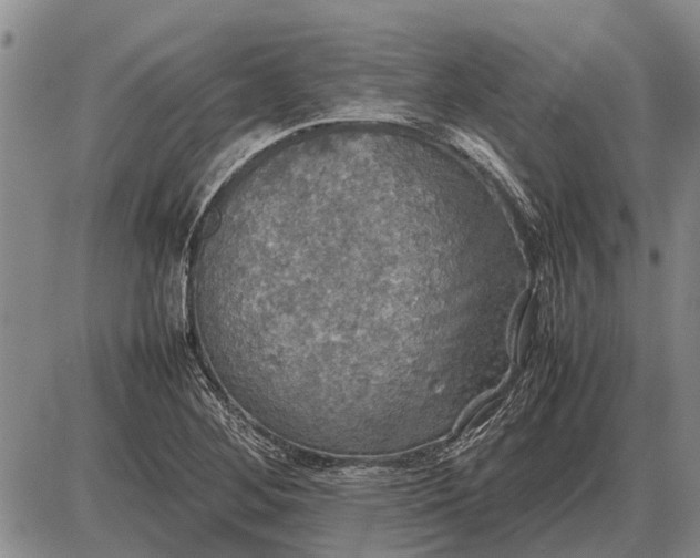 X0000085271268200703231732