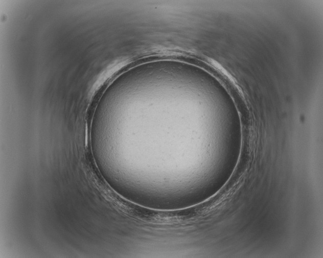 X0000085271269200703231732