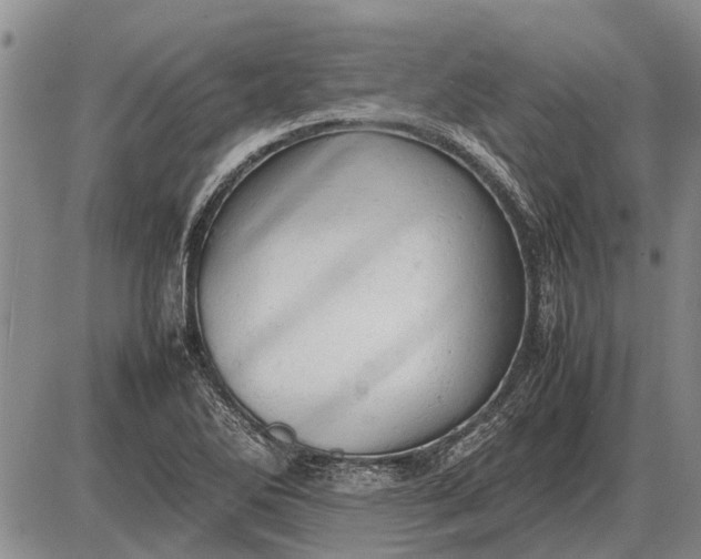 X0000085271270200703231732