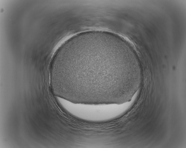 X0000085271271200703231732