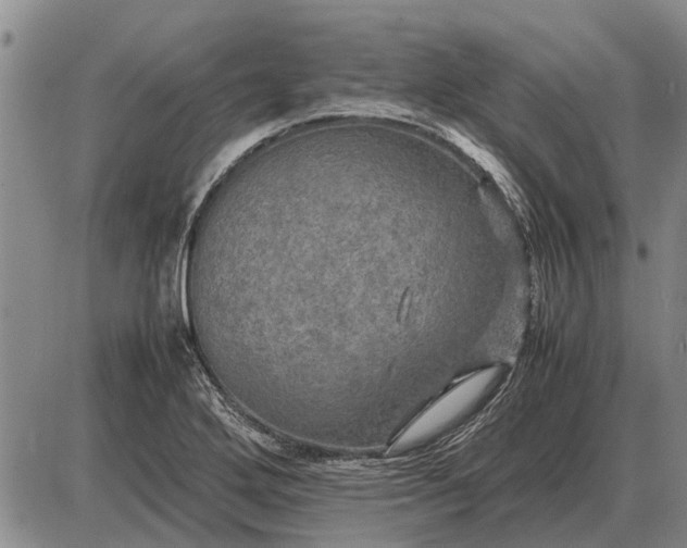 X0000085271272200703231732