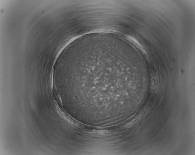 X0000085271276200703231731