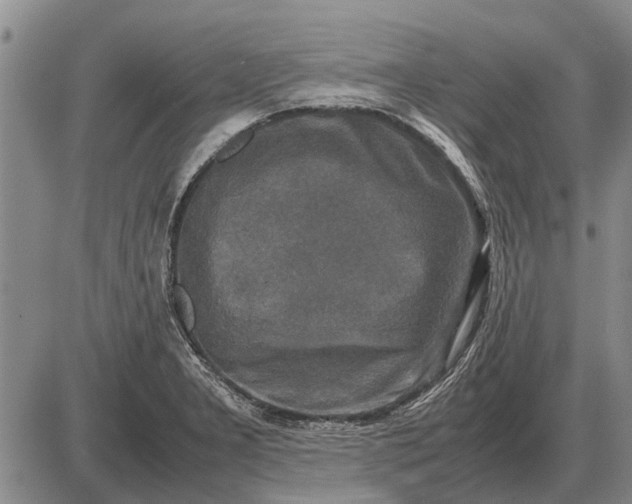 X0000085271277200703231731