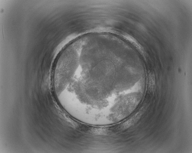 X0000085271278200703231731