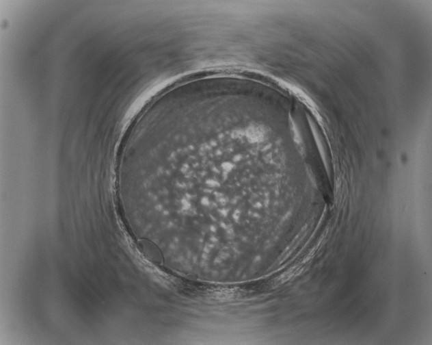 X0000085271279200703231731