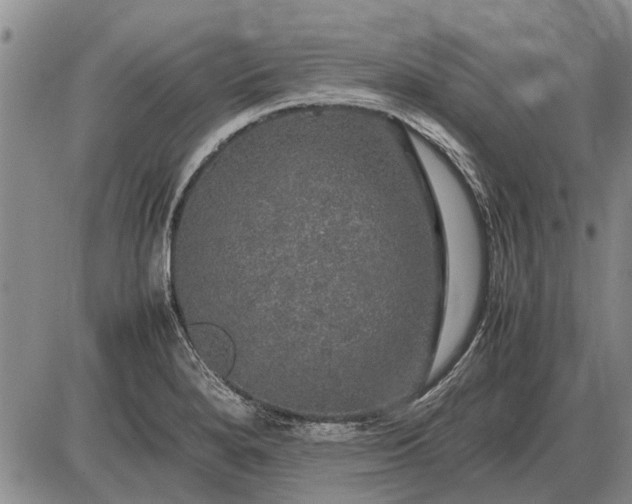 X0000085271280200703231731