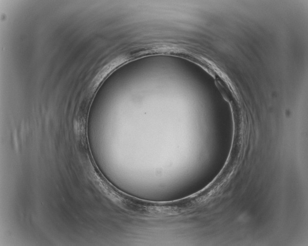 X0000085271281200703231731