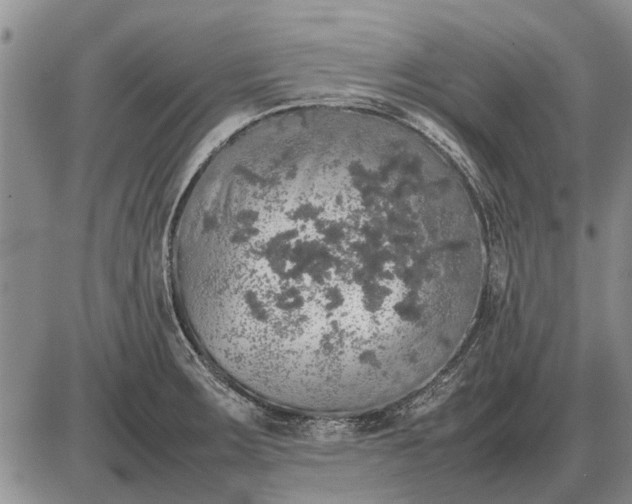 X0000085271283200703231731