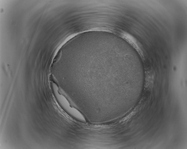 X0000085271284200703231731