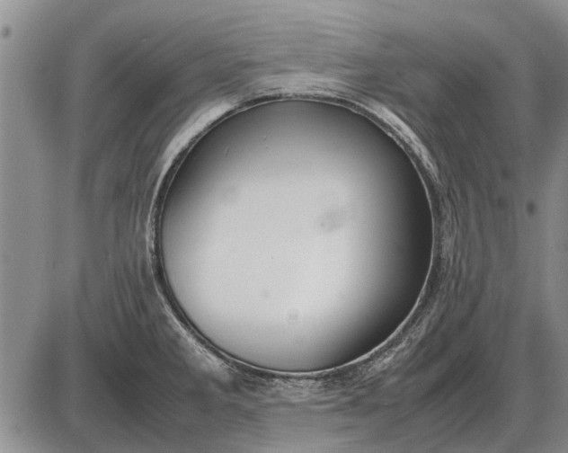 X0000085271285200703231731