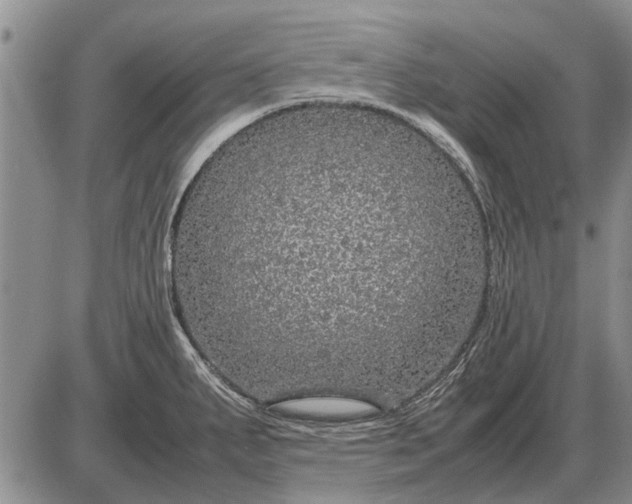 X0000085271287200703231731