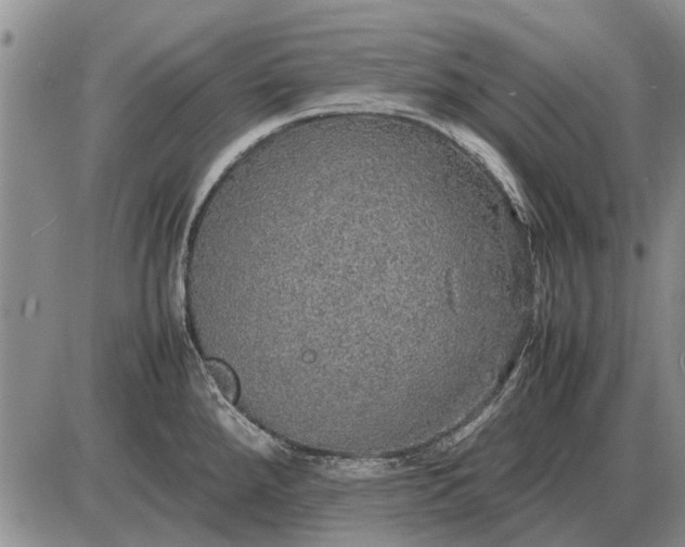 X0000085271288200703231731